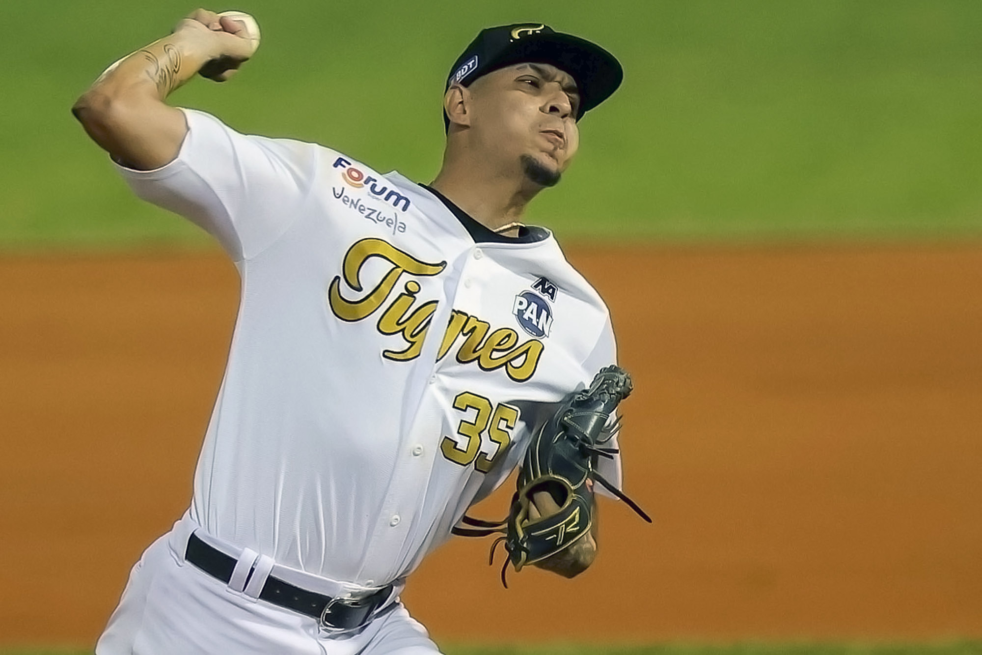 Jorgan Cavanerio Tigres de Aragua LVBP