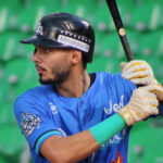 Liga Mayor