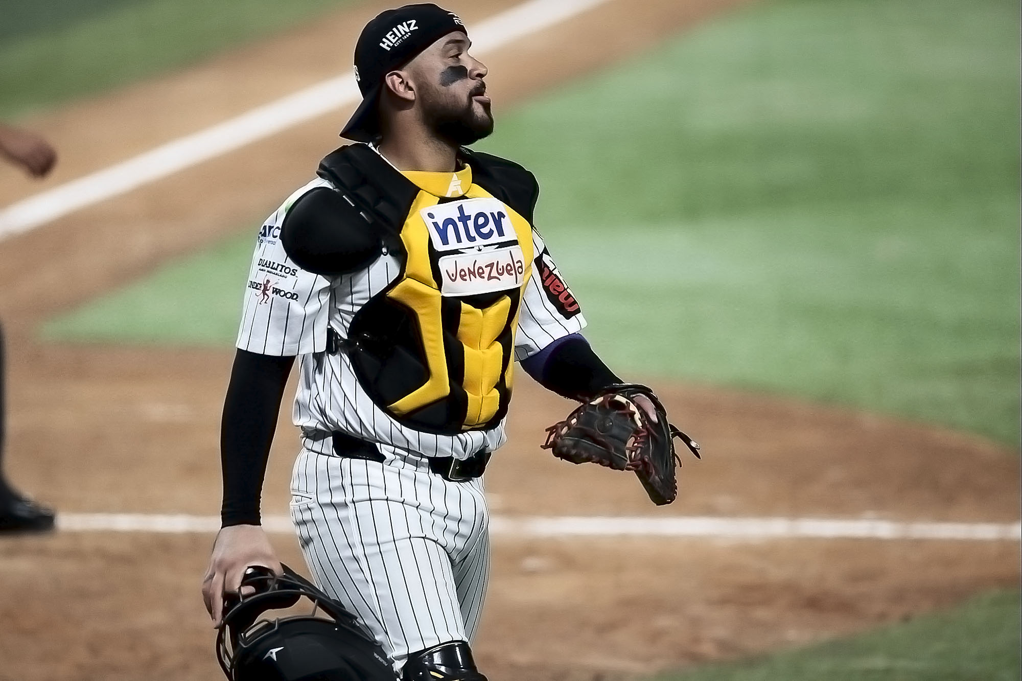 Francisco Arcia Leones Caracas