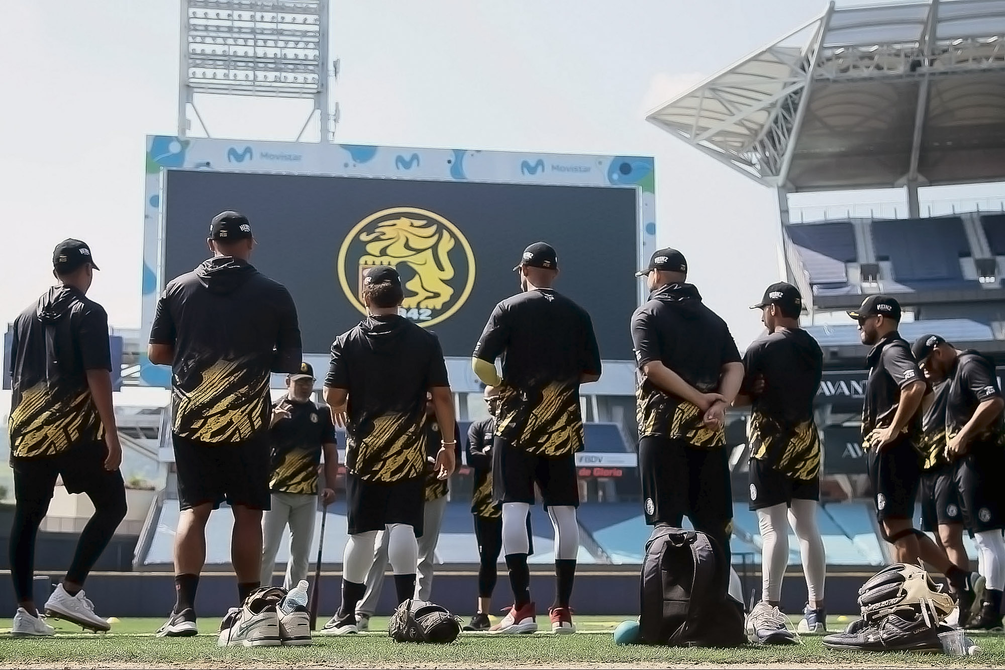 Leones del Caracas LVBP