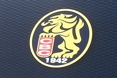 Leones del Caracas