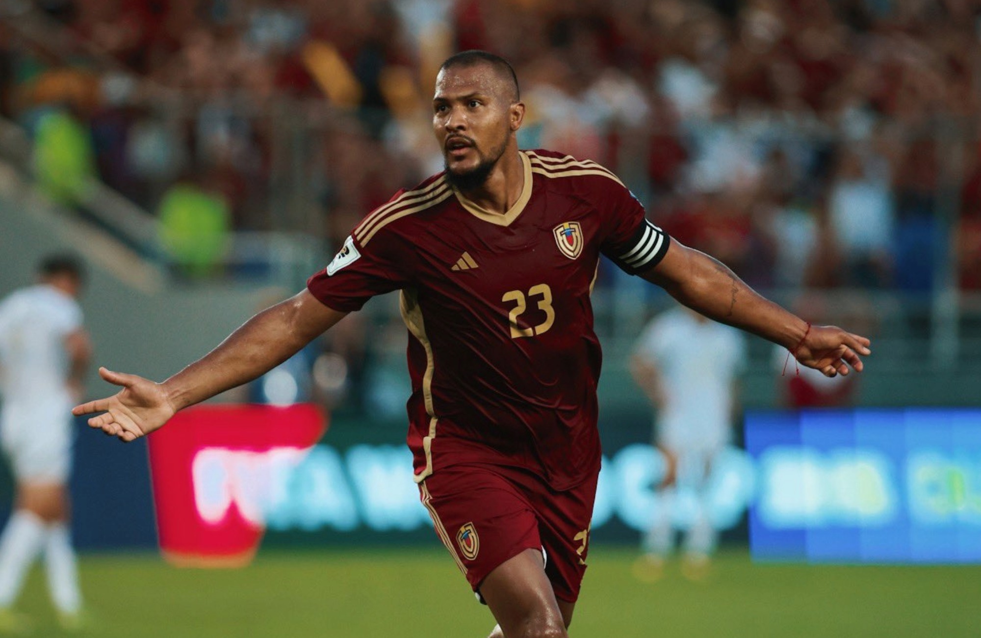 Vinotinto