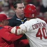 Willson Contreras MLB