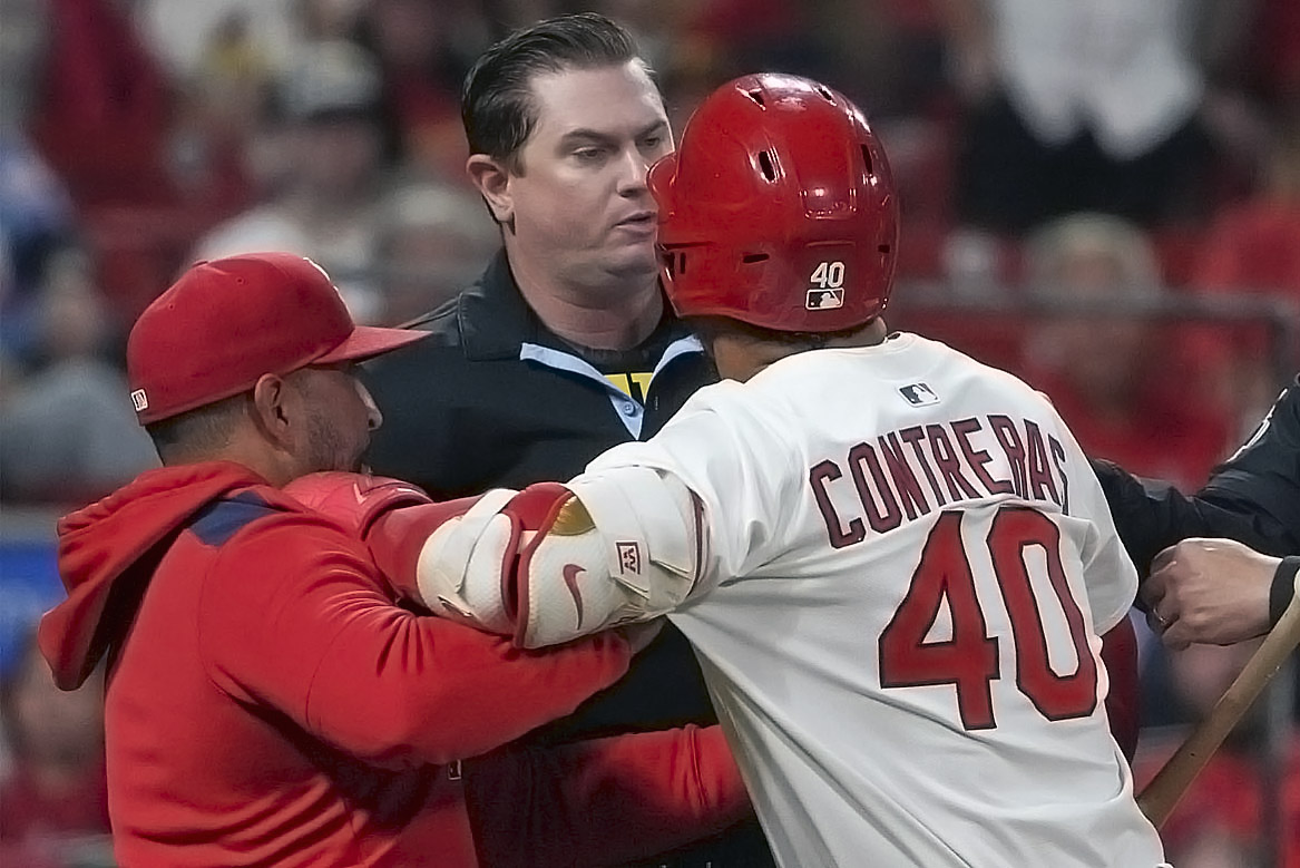 Willson Contreras MLB