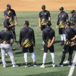 Leones del Caracas minicampamento LVBP