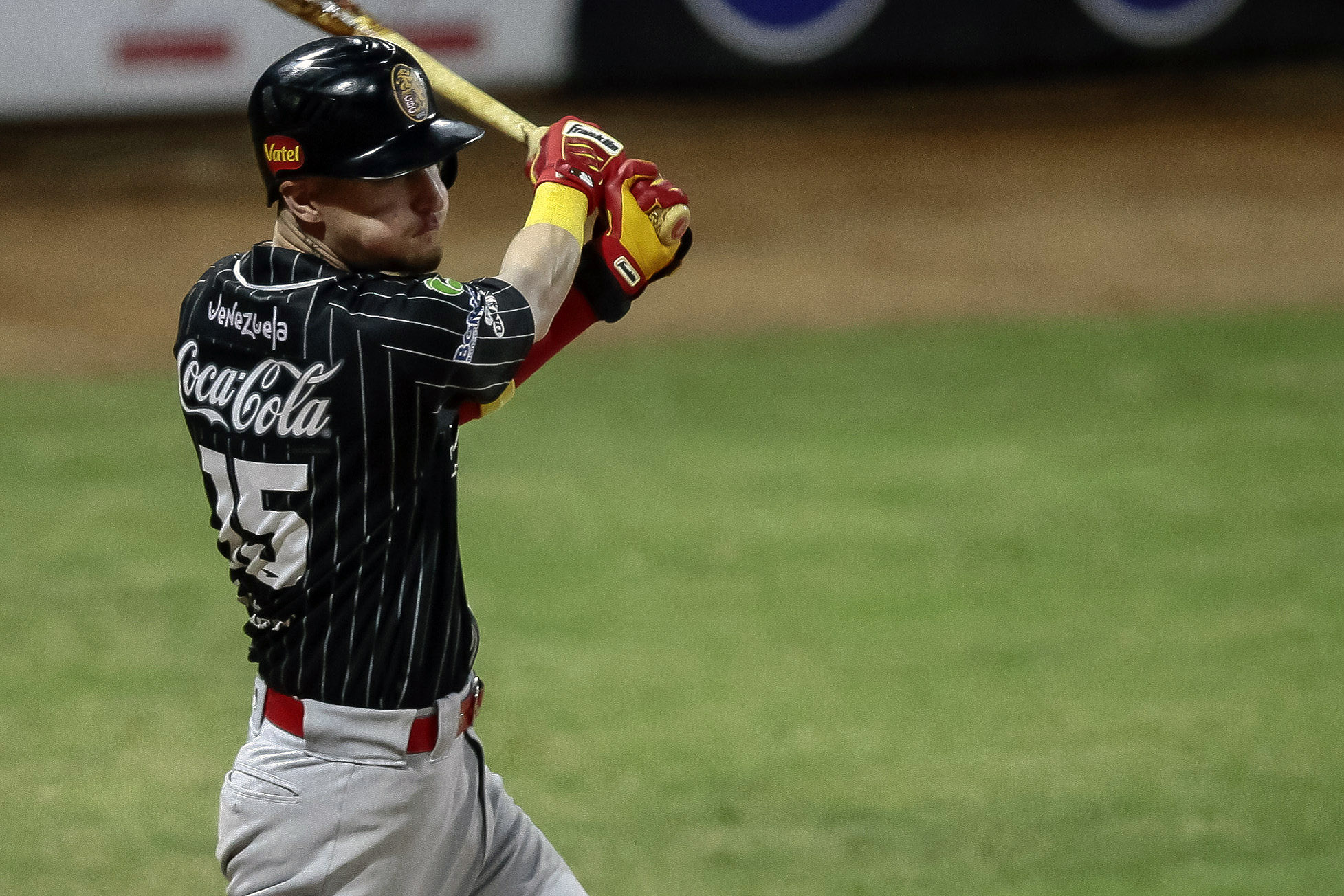 Carlos Tocci Leones del Caracas LVBP
