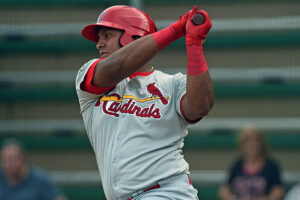 Leandro Cedeño Leones LVBP