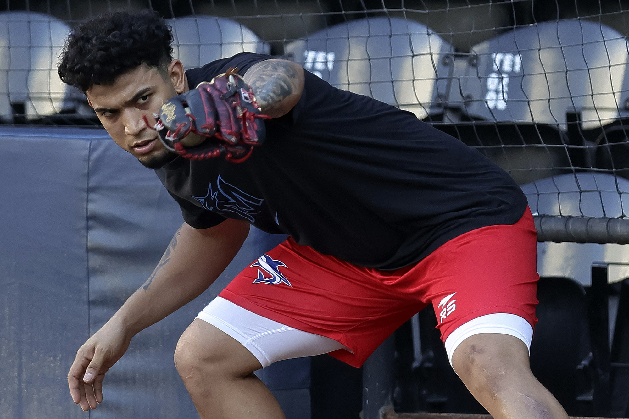 Máximo Acosta Tiburones LVBP