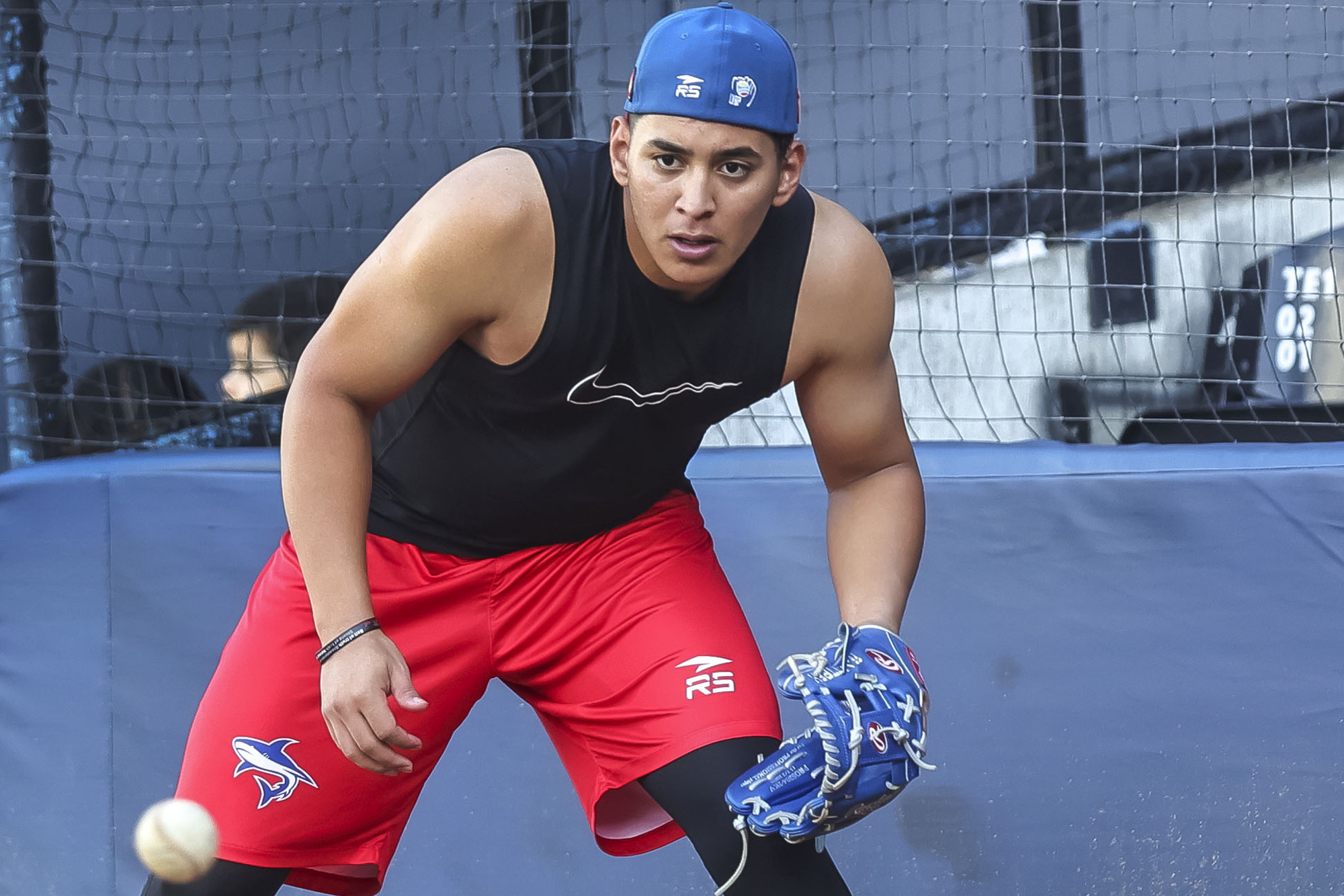Jadher Areinamo Tiburones La Guaira LVBP