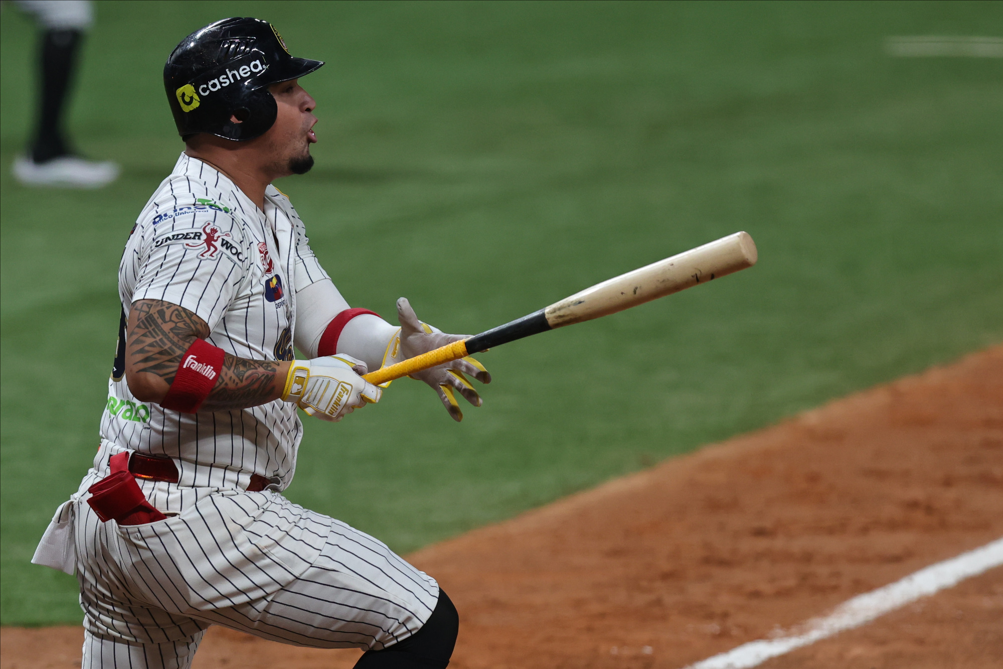 Oswaldo Arcia Leones del Caracas LVBP
