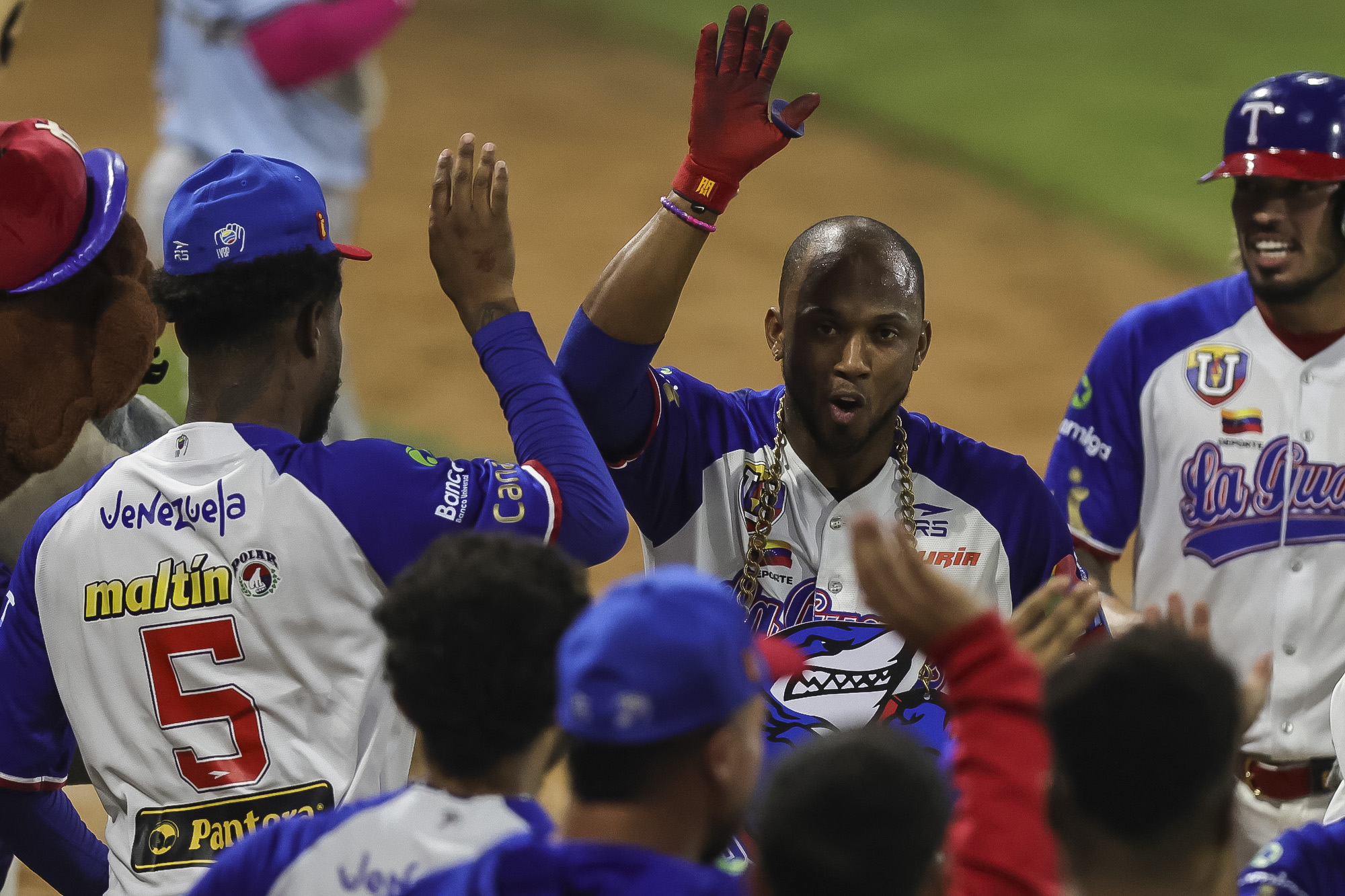 Alcides Escobar Tiburones de La Guaira LVBP