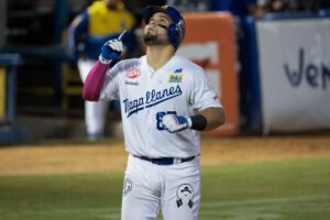 Eliézer Alfonzo Jr. Navegantes del Magallanes LVBP