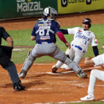 Tigres de Aragua LVBP