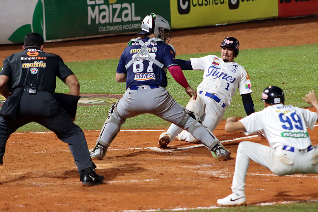Tigres de Aragua LVBP