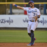 José Gómez Navegantes del Magallanes