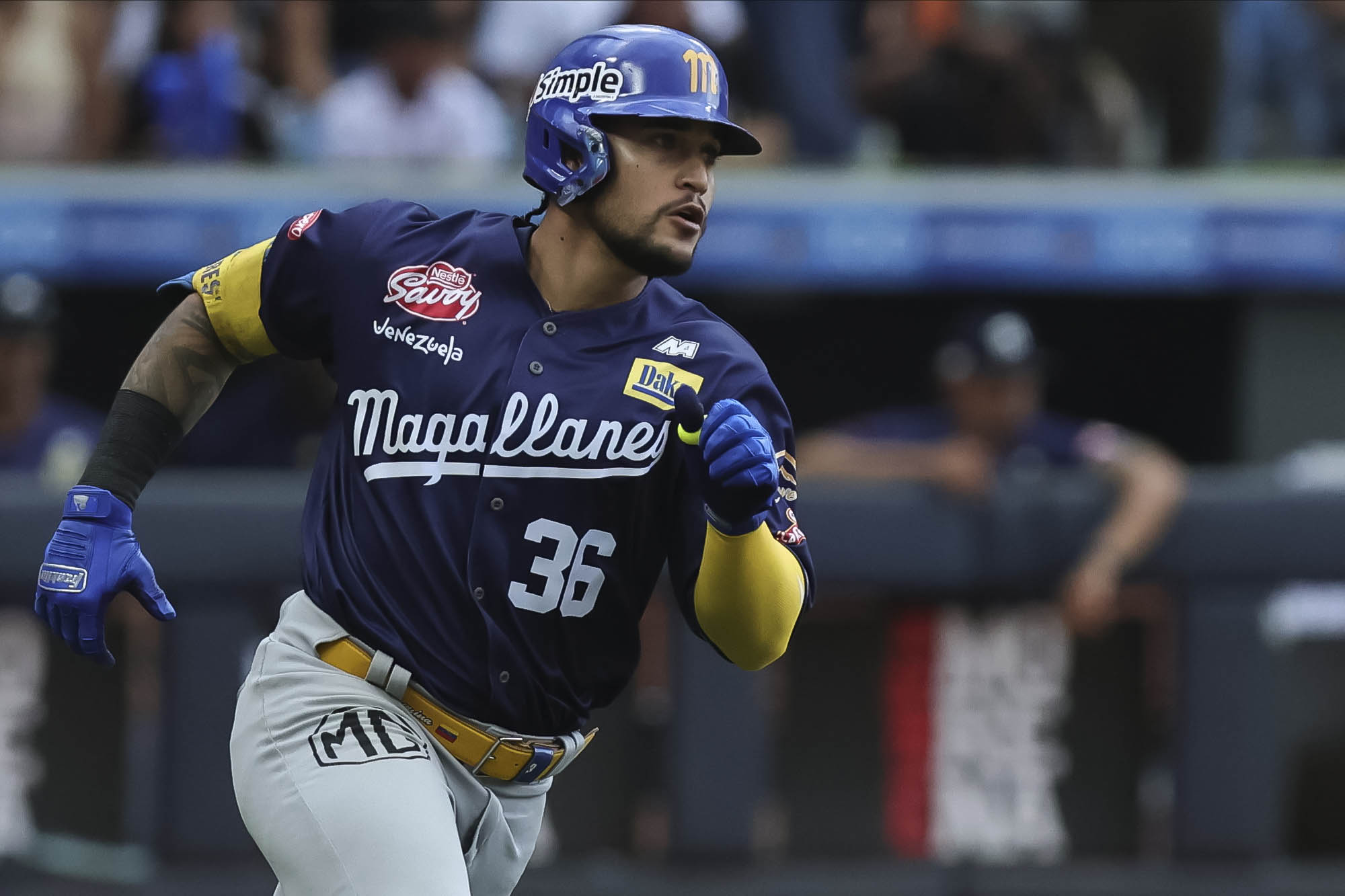 Carlos Rodríguez Magallanes LVBP