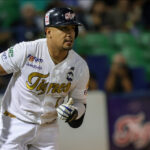 David Rodríguez Tigres de Aragua LVBP