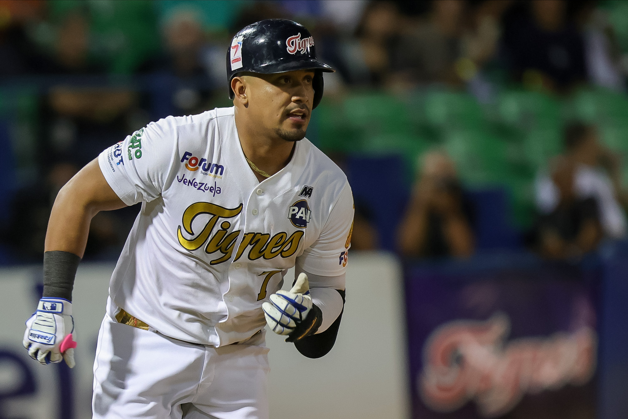 David Rodríguez Tigres de Aragua LVBP