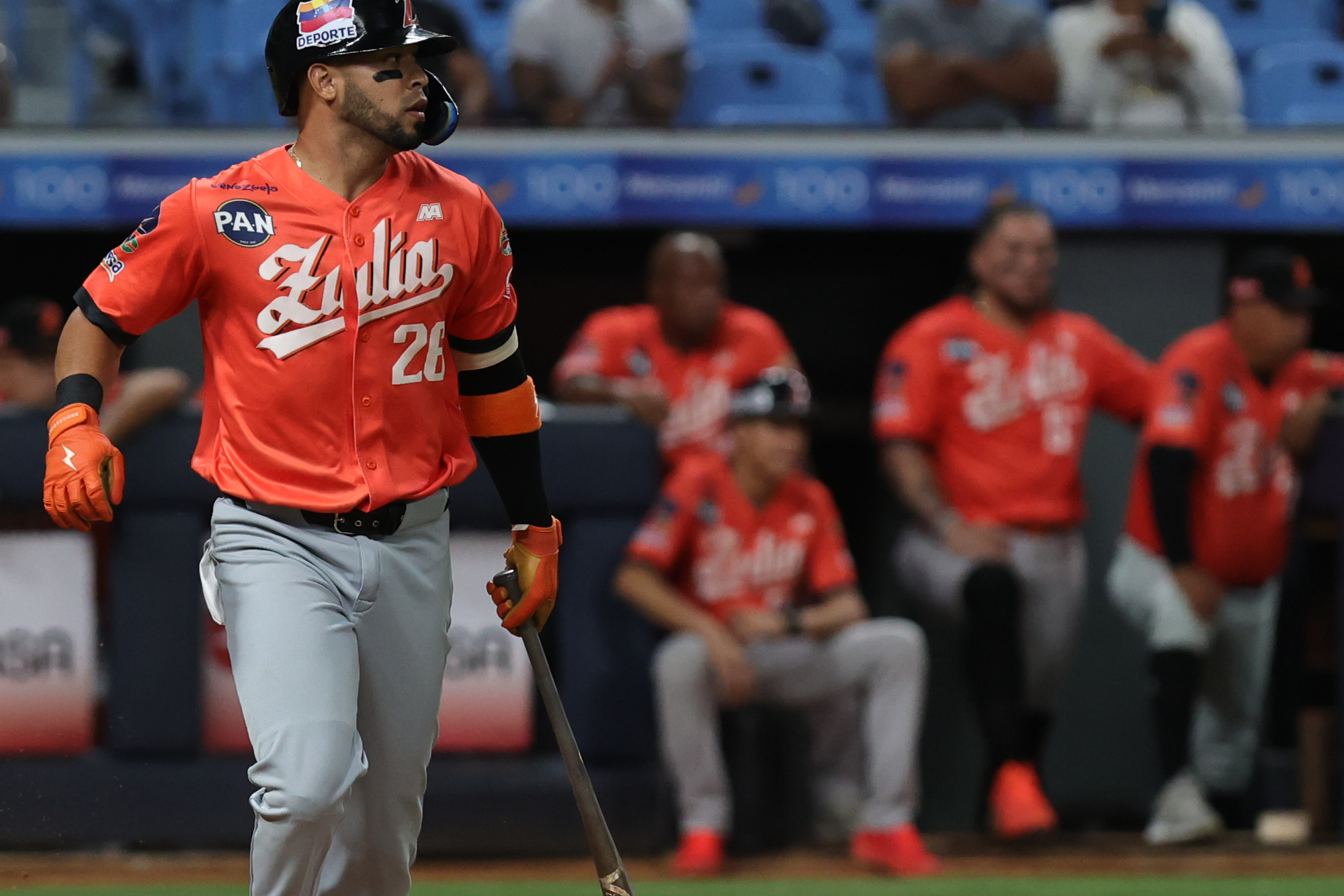Ángelo Castellano Águilas del Zulia LVBP