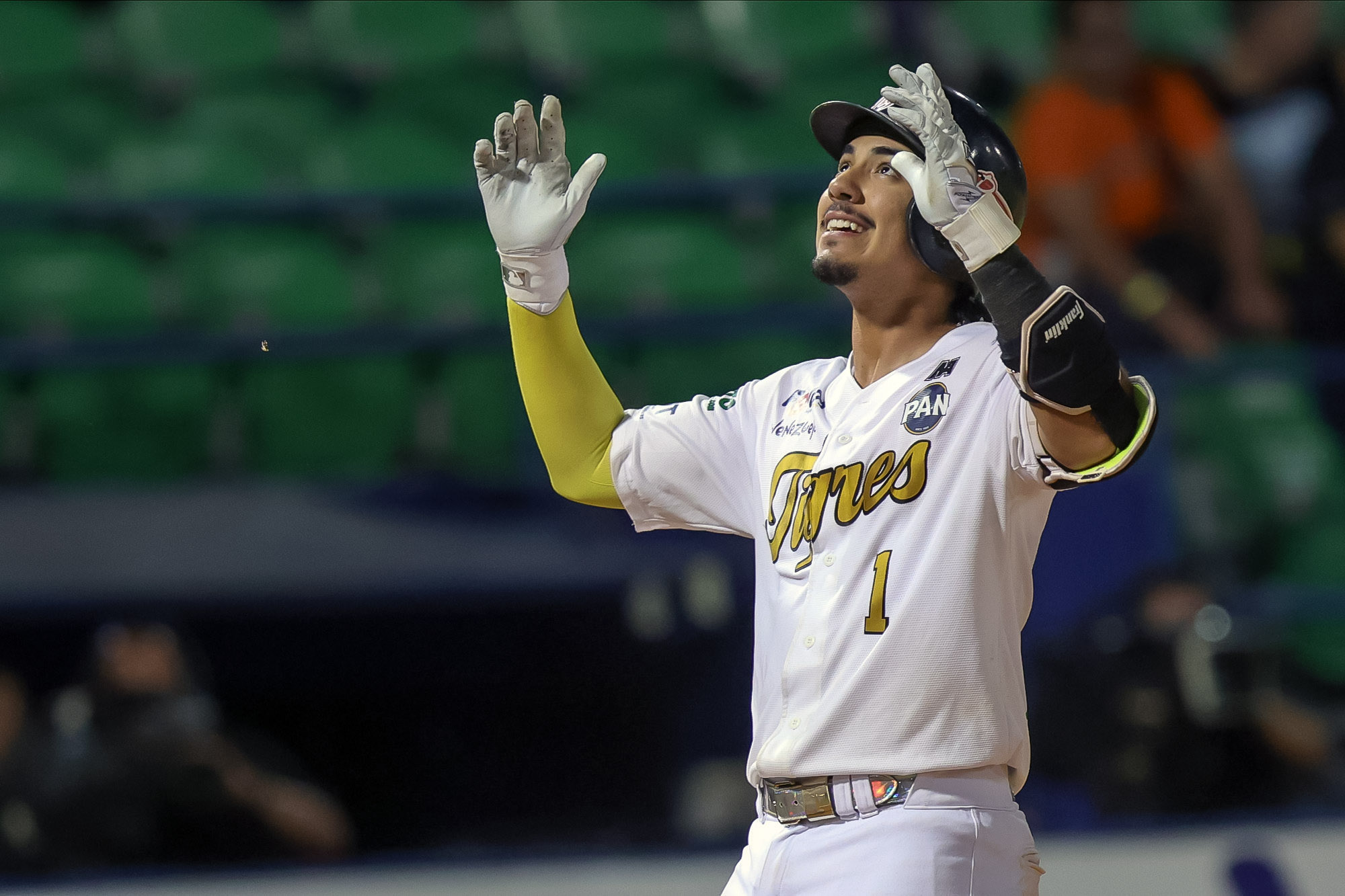 J. J. D’Orazio Tigres de Aragua LVBP