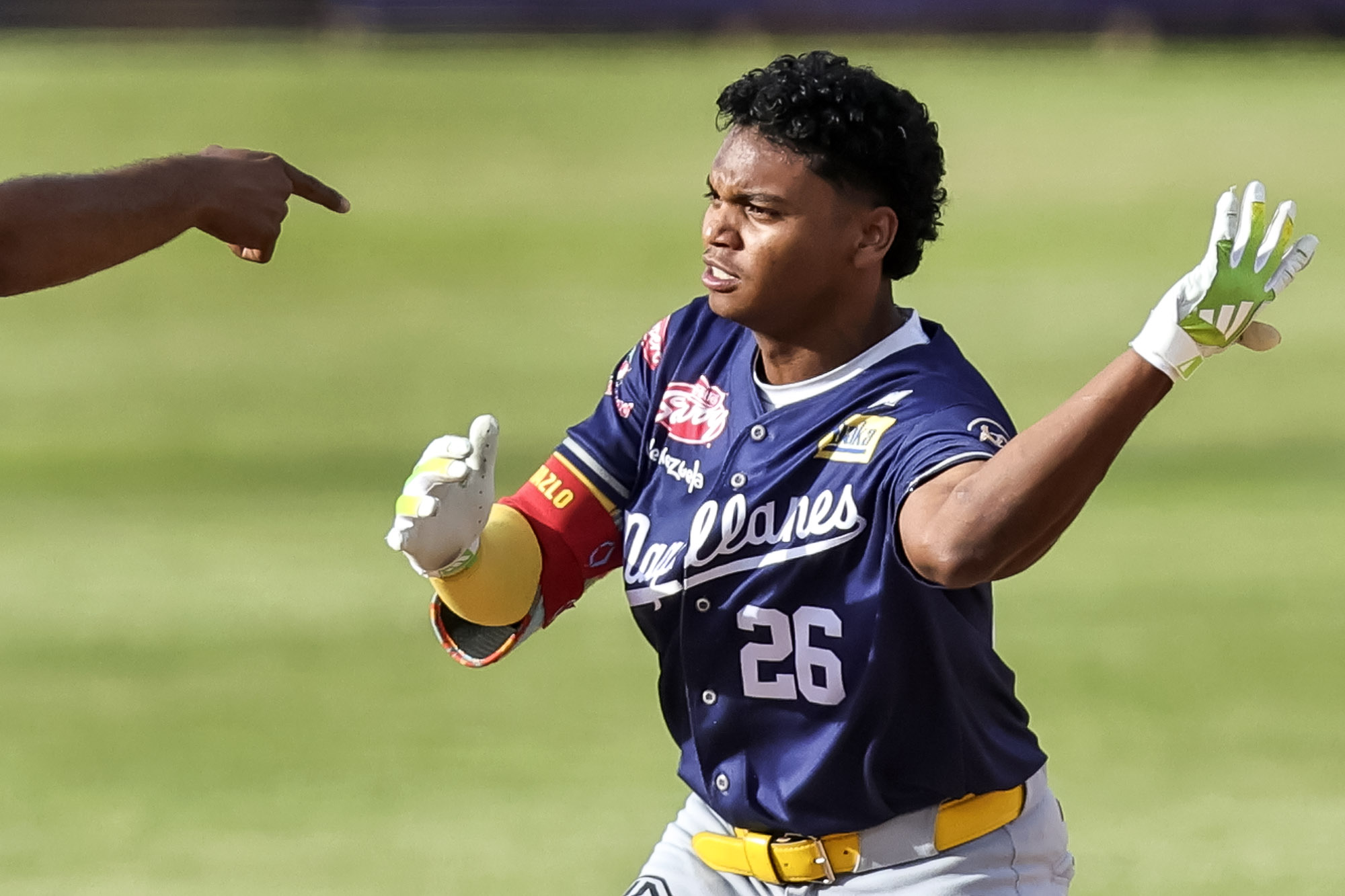 Nelson Rada Navegantes del Magallanes LVBP