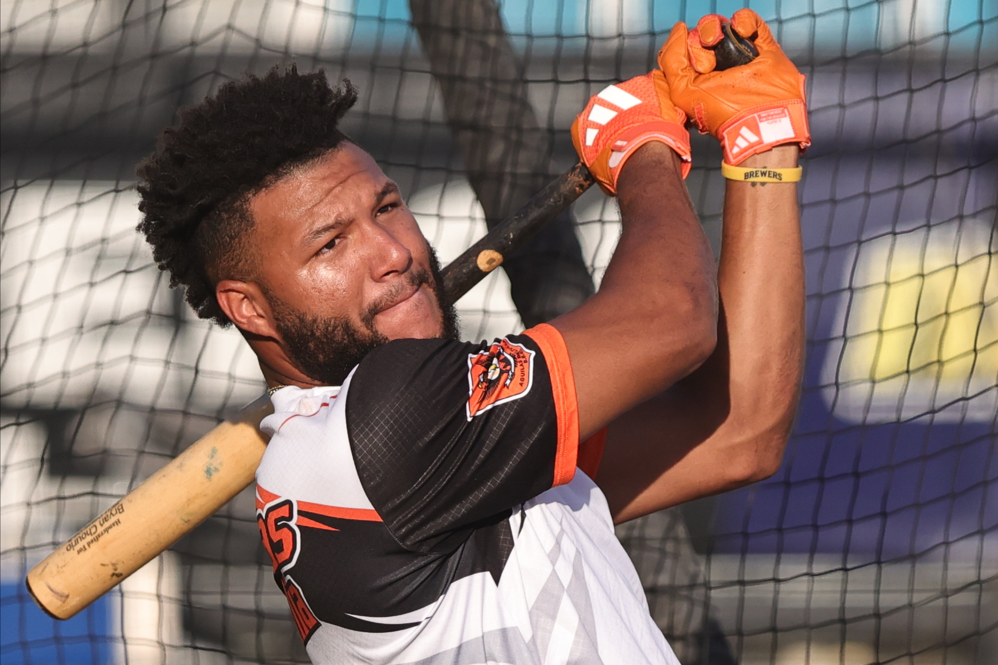 Jackson Chourio LVBP