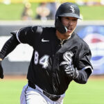 William Bergolla Jr. | Foto: MLB