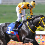 Gran Yaco Yoelbis González