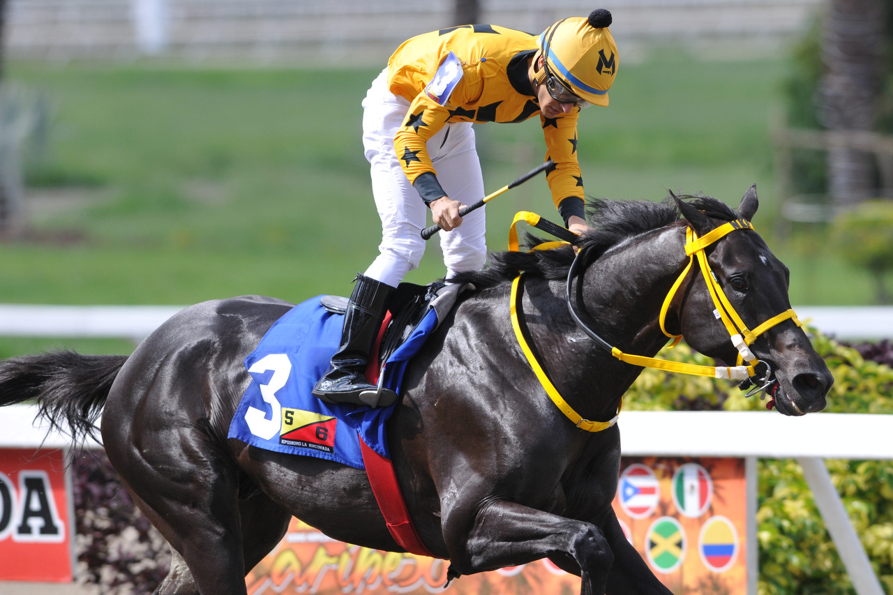 Gran Yaco Yoelbis González