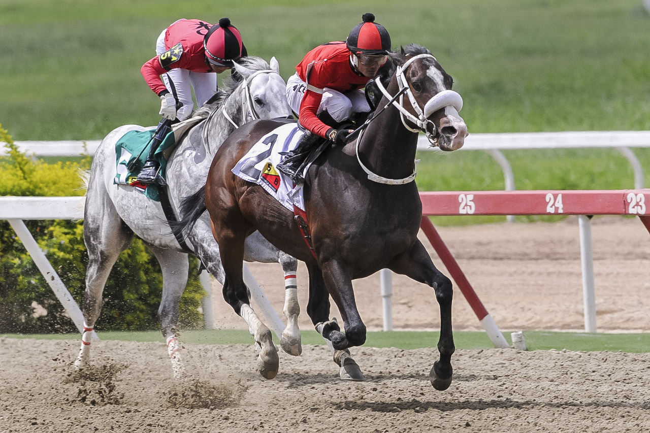 Magicshadow Clásico Socopó (GIII)