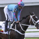 Princesa Fina Clásico Gustavo J. Sanabria