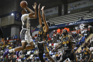 Cocodrilos de Caracas