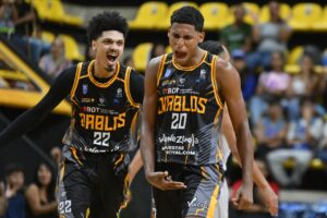 Nicolás Palma Diablos de Miranda