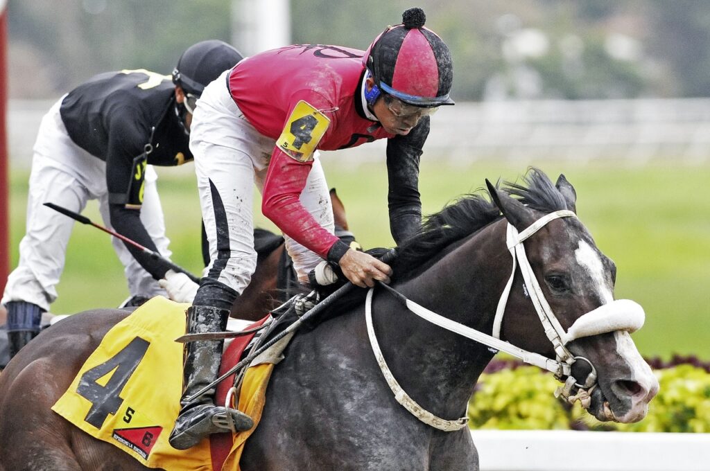 Magicshadow y Robert Capriles imponen su atropellada en el “Federico Carmona Perera”