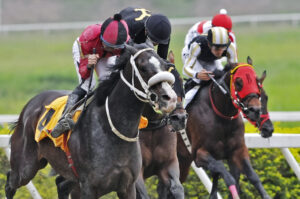 Magicshadow y Robert Capriles imponen su atropellada en el “Federico Carmona Perera”