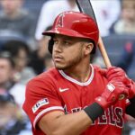 Omar Martinez MLB