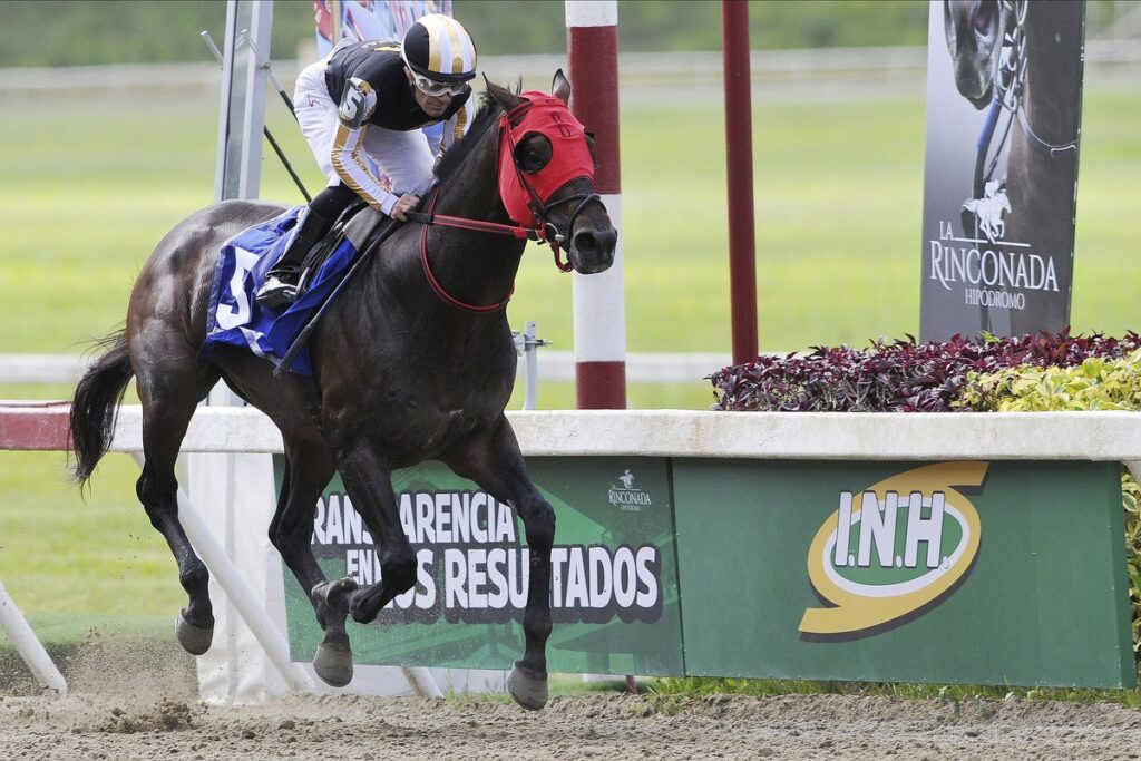 Tuscan Gold impuso su clase en el Fuerza Armada
