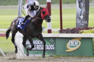 Tuscan Gold impuso su clase en el Fuerza Armada