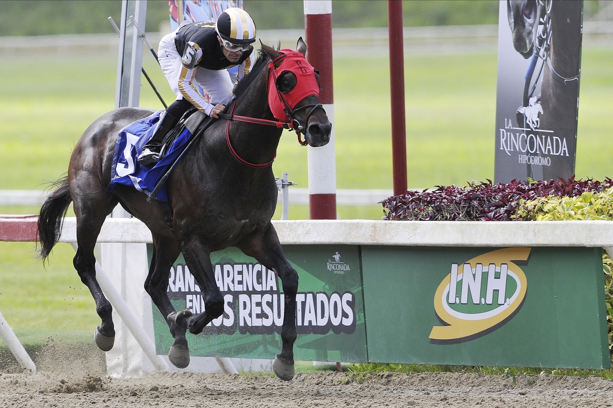 Tuscan Gold impuso su clase en el Fuerza Armada