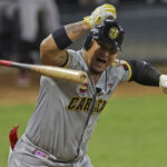 Oswaldo Arcia Leones del Caracas LVBP