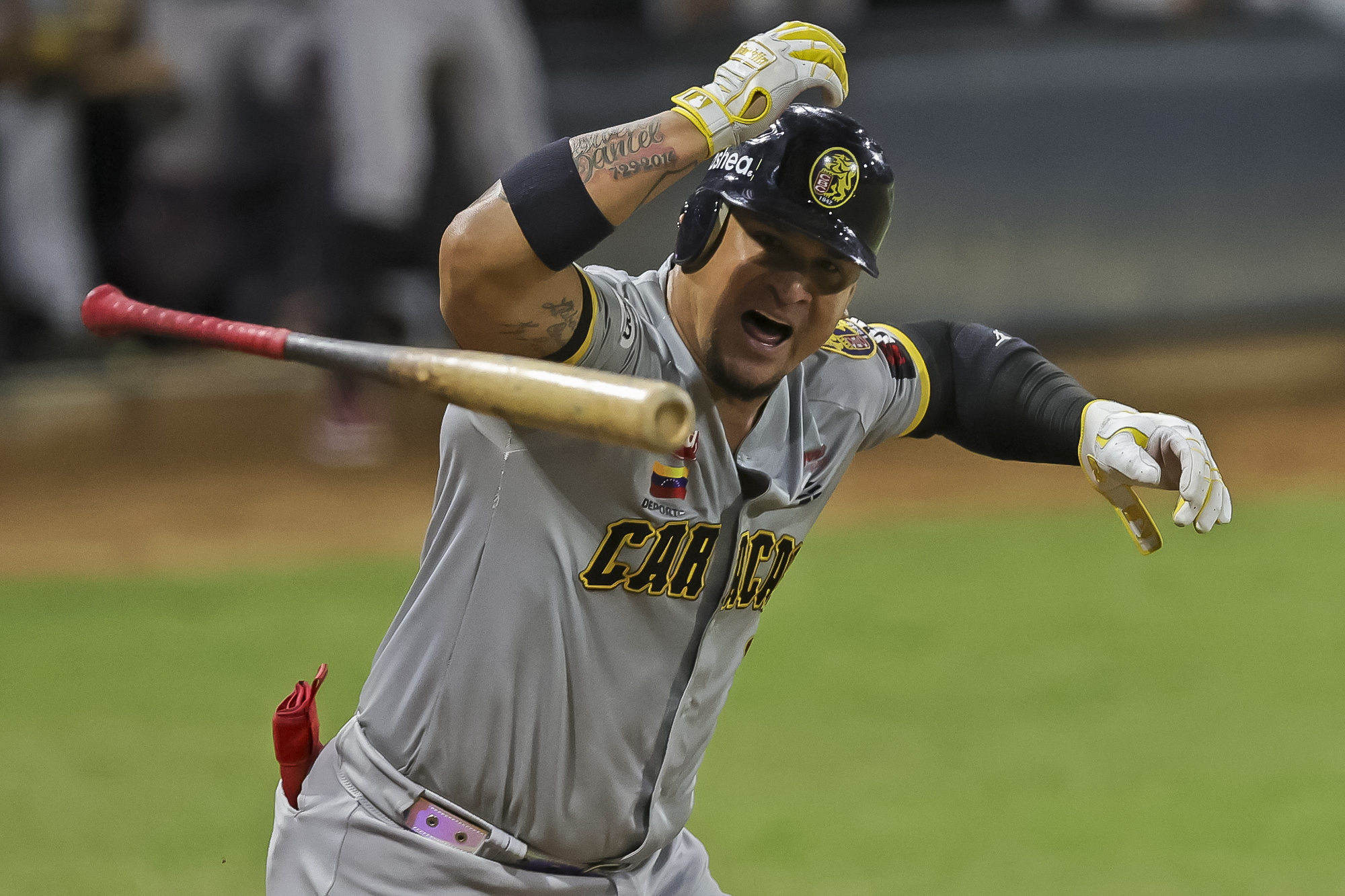 Oswaldo Arcia Leones del Caracas LVBP