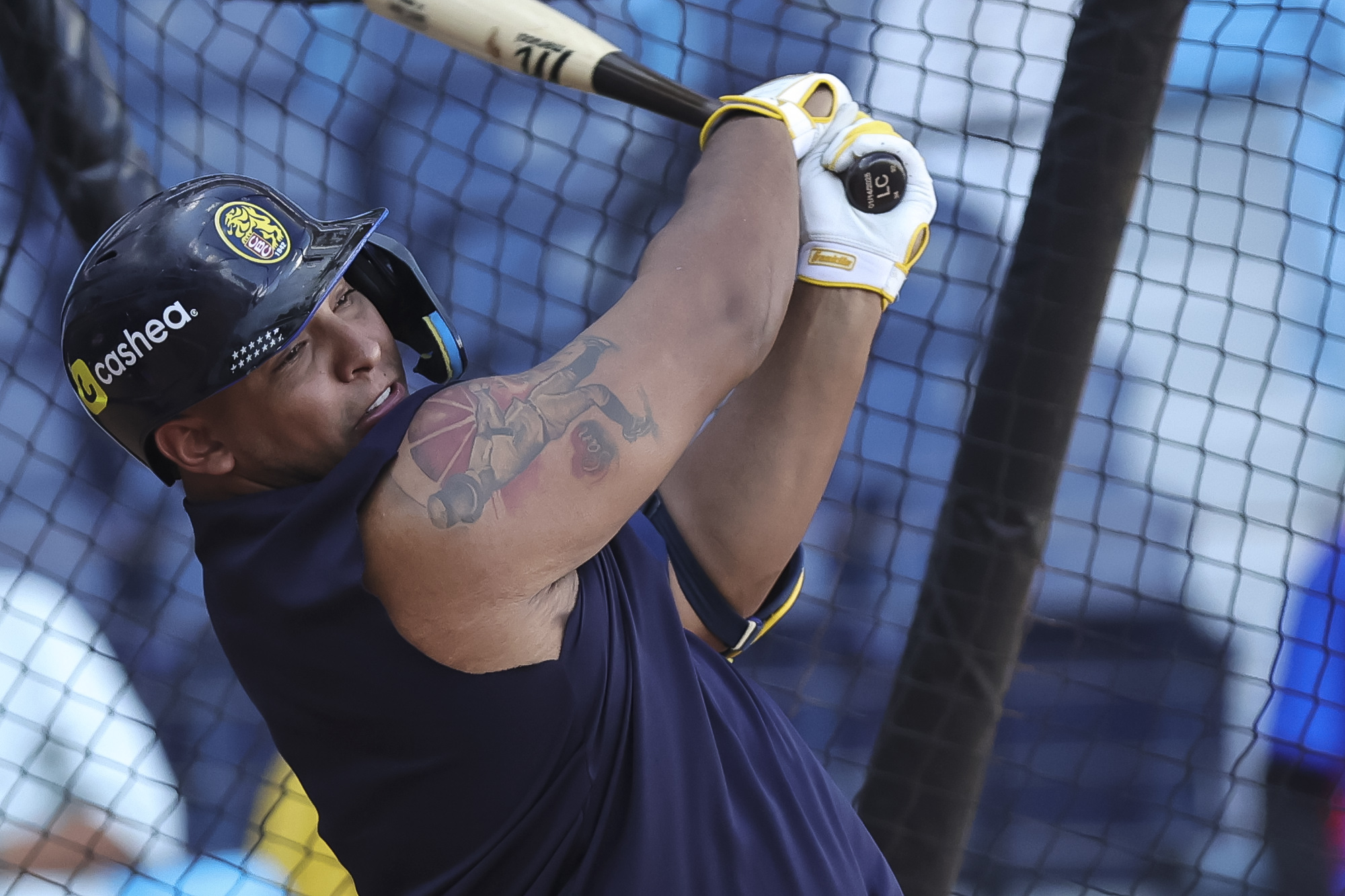 Leandro Cedeño Leones del Caracas LVBP