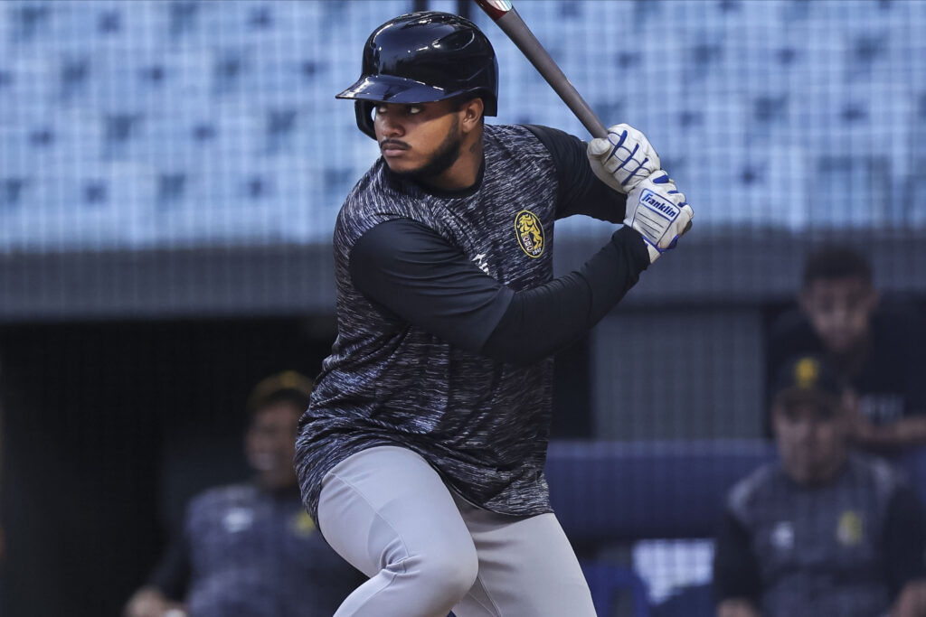 Brainer Bonací Leones del Caracas LVBP